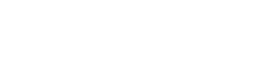 Paxly Logo